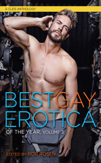 Cover image: Best Gay Erotica of the Year 9781627782203