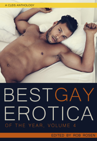 Cover image: Best Gay Erotica of the Year 9781627782845