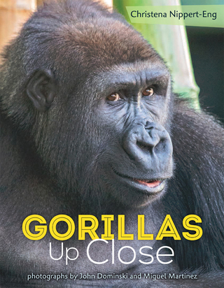 Imagen de portada: Gorillas Up Close 9781627790918