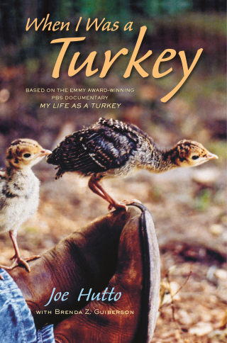 Cover image: When I Was a Turkey 9781627793858
