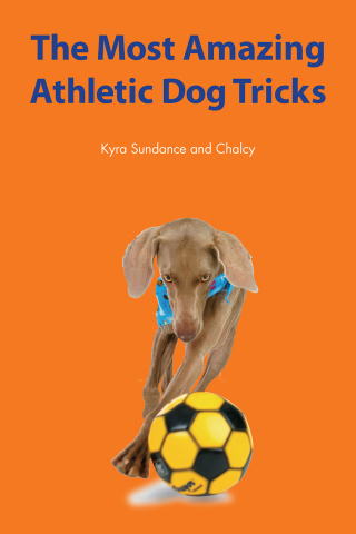 Cover image: The Most Amazing Silly Dog Tricks 9781592533251