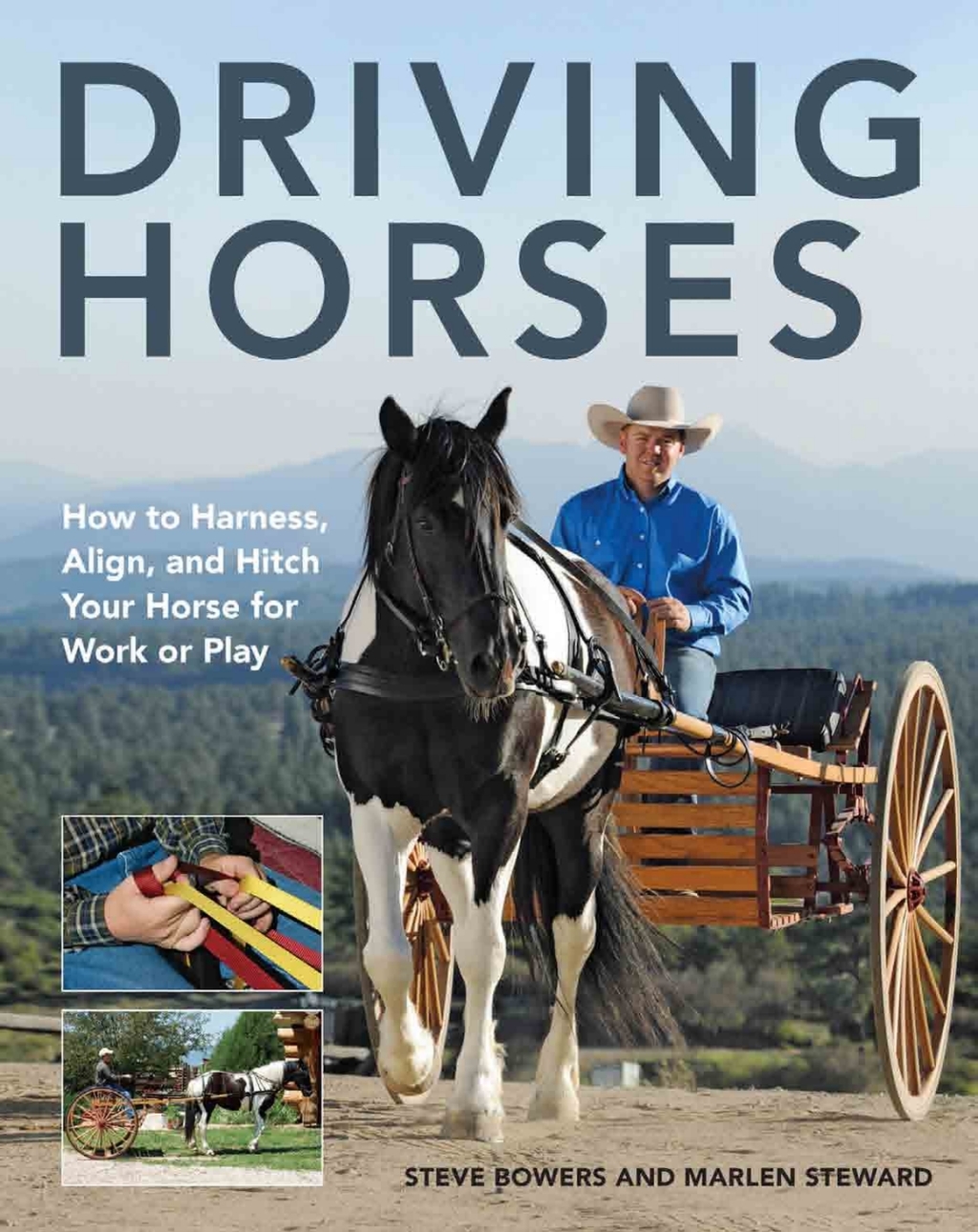Driving Horses How to harness, align, and hitch your horse for work or play