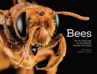 Cover image: Bees 9780760347386