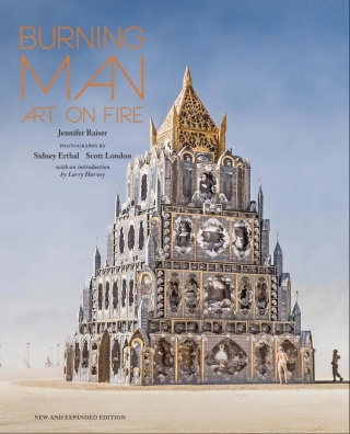 Imagen de portada: Burning Man 9781631062568
