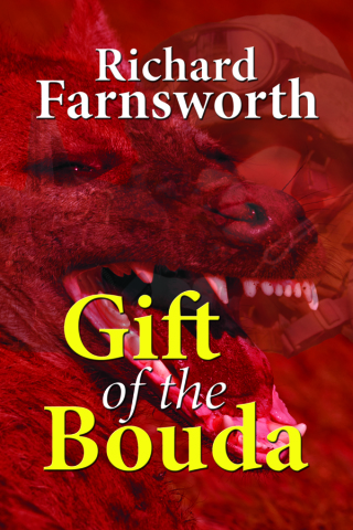 Cover image: Gift of the Bouda 9781609770181
