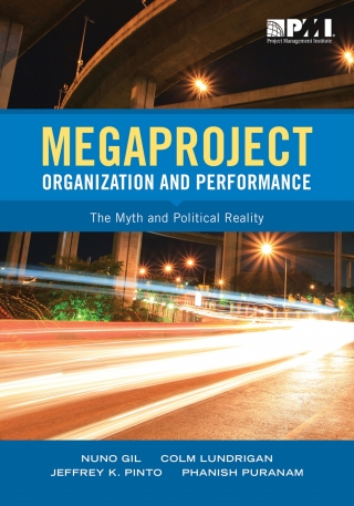 Cover image: Megaproject Organization and Performance 1st edition 9781628251760