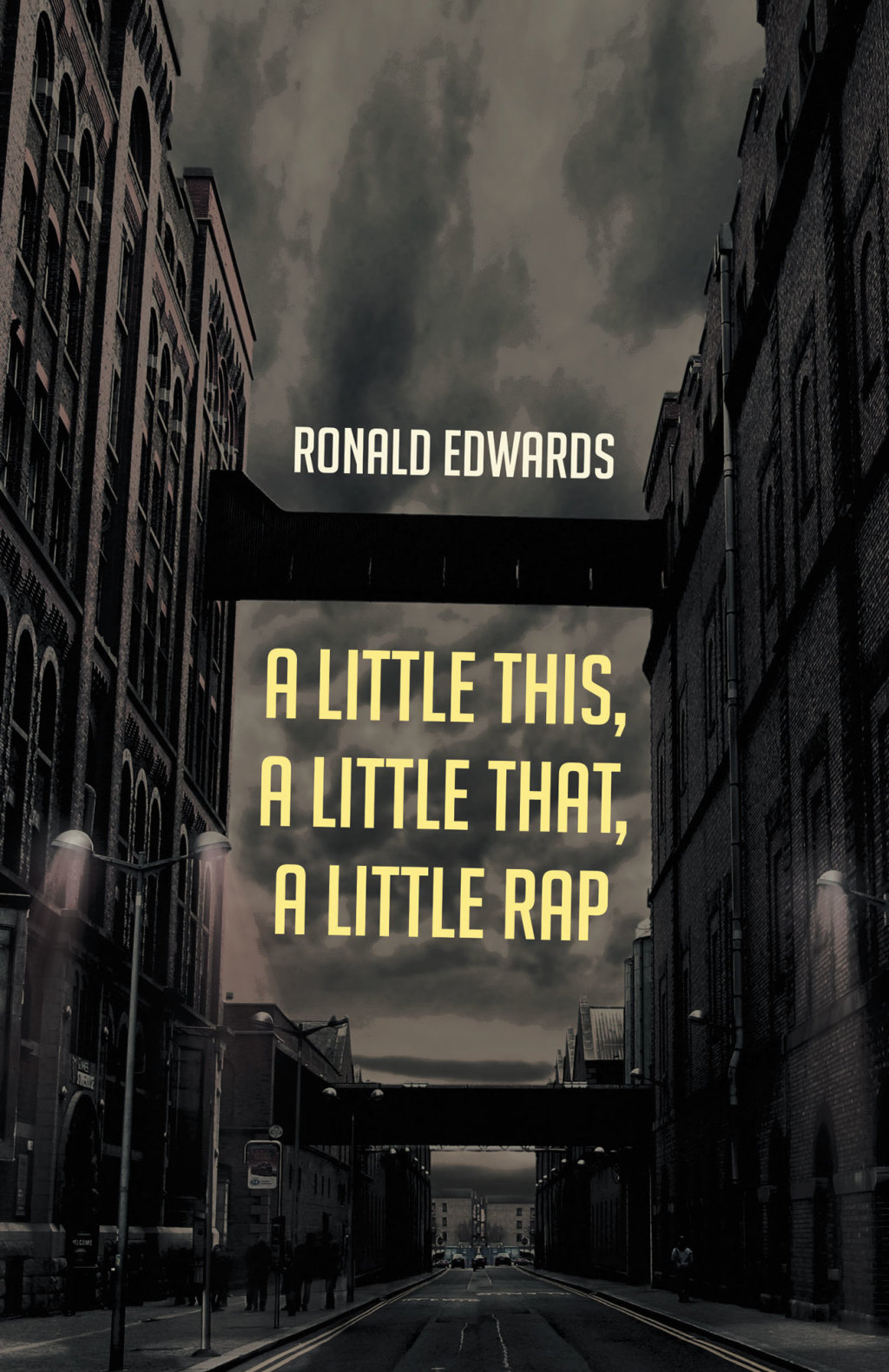 A Little This  A Little That  A Little Rap eBook