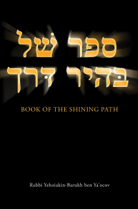 صورة الغلاف: Book of the Shining Path 9781628389098