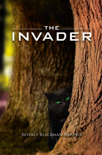 Imagen de portada: The Invader 9781628389715