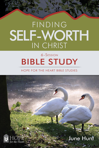 Cover image: Finding Self-Worth in Christ 9781628623994