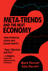 表紙画像: Meta-Trends and the Next Economy