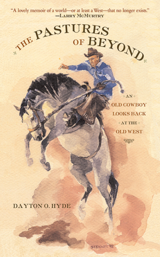 Cover image: The Pastures of Beyond 9781611453287
