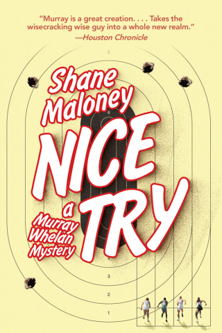 Cover image: Nice Try 9781628724158