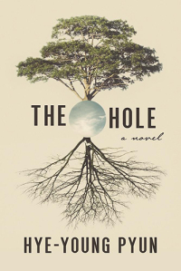 Cover image: The Hole 9781628729917