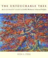 Cover image: The Untouchable Tree 9781602393387