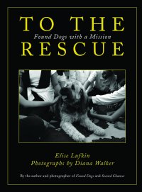 Cover image: To the Rescue 9781632203069