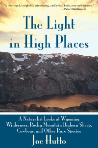 Cover image: The Light In High Places 9781628737493