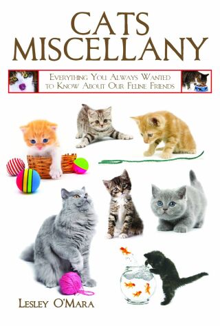 Titelbild: Cats Miscellany 9781616083564