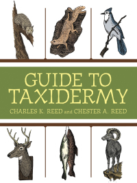 Cover image: Guide to Taxidermy 9781616085391
