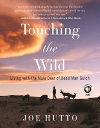 Cover image: Touching the Wild 9781510712324