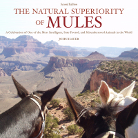 Cover image: The Natural Superiority of Mules 9781634507868