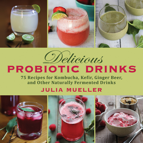 Delicious Probiotic Drinks: 75 Recipes for Kombucha, Kefir, Ginger Beer, and Other Naturally Fermented Drinks - FULL INSTANT DOWNLOAD | PDF DOCX EPUB