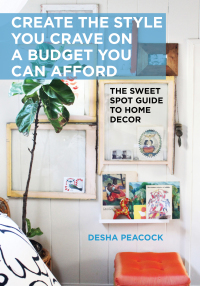Cover image: Create the Style You Crave on a Budget You Can Afford 9781628736229