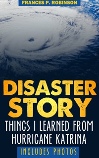 Omslagafbeelding: Disaster Story 9781628840186