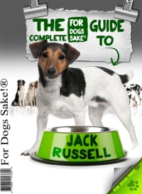 صورة الغلاف: All About Jack Russells 9781628842418