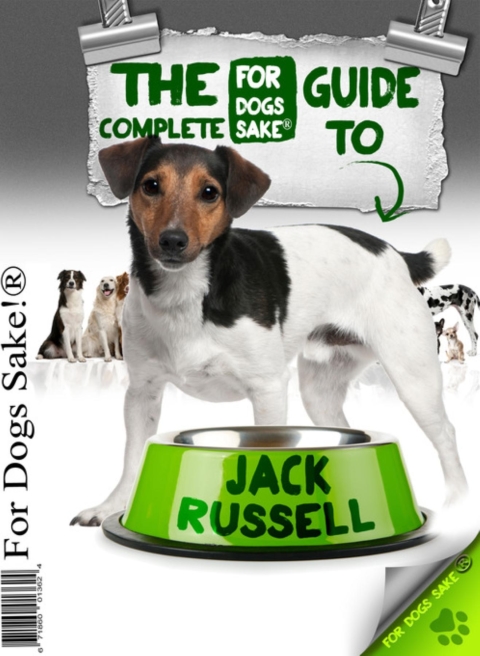 All About Jack Russells - FULL INSTANT DOWNLOAD | PDF DOCX EPUB