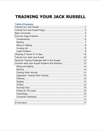 صورة الغلاف: How to Train your Jack Russell 9781628842425