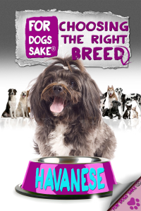 Imagen de portada: Choosing the Right Breed - Havanese 9781628842562