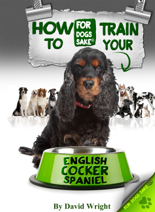 صورة الغلاف: How to Train Your English Cocker Spaniel 9781628842784