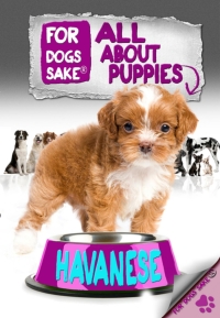 Omslagafbeelding: All About Havanese Puppies 9781628842845
