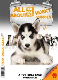 Cover image: All About Husky Puppies 9781628842852