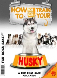 Cover image: How to Train Your Husky 9781628842876