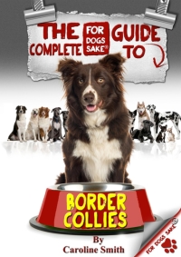 Imagen de portada: The Complete Guide to Border Collies 9781628842913