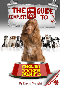 Omslagafbeelding: The Complete Guide to English Cocker Spaniels 9781628842937