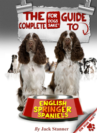 Omslagafbeelding: The Complete Guide to English Springer Spaniel 9781628842944