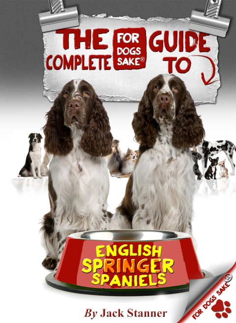 The Complete Guide to English Springer Spaniel - FULL INSTANT DOWNLOAD | PDF DOCX EPUB