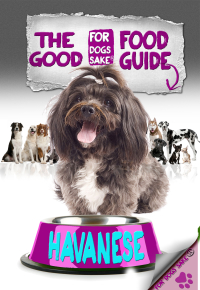 Cover image: The Havanese Good Health Guide 9781628843163