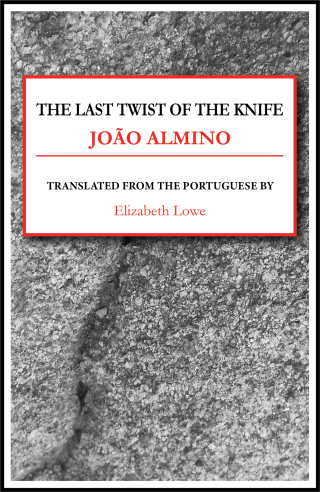Cover image: The Last Twist of the Knife 9781943150625