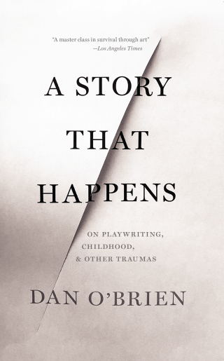 Cover image: A Story that Happens 9781628973839