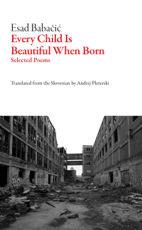 Cover image: Every Child Is Beautiful When Born 9781628973402