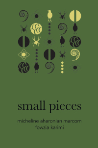 Cover image: small pieces 9781628974508