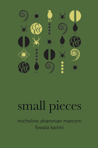 Imagen de portada: small pieces 9781628974508