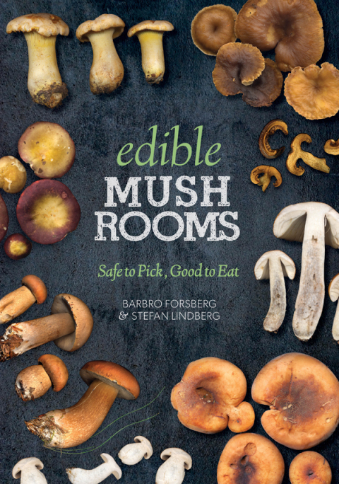 Edible Mushrooms: Safe to Pick, Good to Eat - FULL INSTANT DOWNLOAD | PDF DOCX EPUB