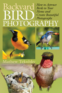 Cover image: Backyard Bird Photography 9781628737400