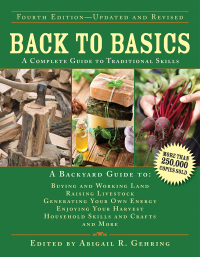 Cover image: Back to Basics 4th edition 9781602392335