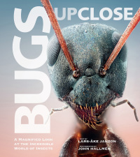 Cover image: Bugs Up Close 9781629144825